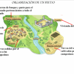 Diferencia entre feudalismo y señorío