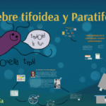 Diferencia entre fiebre tifoidea y paratifoidea