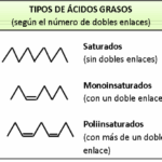 Diferencia entre grasas monoinsaturadas y poliinsaturadas