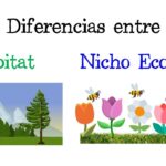 Diferencia entre hábitat y nicho