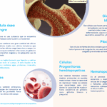 Diferencia entre hematología y oncología