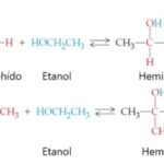 Diferencia entre hemiacetal y hemicetal