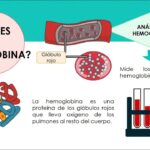 Diferencia entre hemoglobina y hematocrito