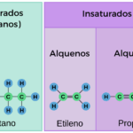 Diferencia entre hidrocarburos saturados e insaturados