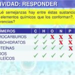 Diferencia entre hidrocarburos y carbohidratos
