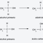 Diferencia entre hidroxilo y alcohol
