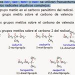 Diferencia entre Iso Sec Tert y Neo