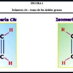 Diferencia entre isómeros cis y trans