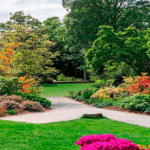 Diferencia entre jardinería y paisajismo