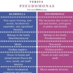 Diferencia entre Klebsiella y Pseudomonas