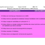 Diferencia entre la ADN y la ARN polimerasa
