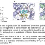 Diferencia entre la aldosterona y la testosterona