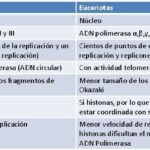 Diferencia entre la ARN polimerasa procariota y eucariota