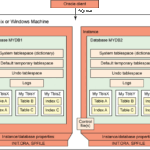 Diferencia entre la arquitectura Oracle y DB2