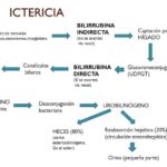Diferencia entre la bilirrubina directa y la indirecta