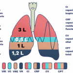 Diferencia entre la capacidad pulmonar total y la capacidad vital