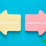 Diferencia entre la carragenina y la goma xantana