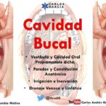 Diferencia entre la cavidad bucal y la cavidad oral