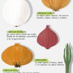 Diferencia entre la cebolla amarilla y la blanca