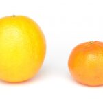 Diferencia entre la naranja dulce y la mandarina