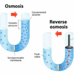 Diferencia entre la ósmosis inversa y el agua destilada