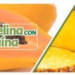 Diferencia entre la papaína y la bromelina