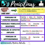 Diferencia entre la penicilina G y la penicilina V