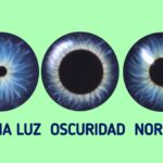 Diferencia entre la reacción a la luz y a la oscuridad