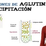 Diferencia entre la reacción de precipitación y la de neutralización