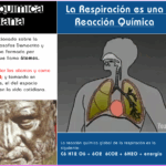 Diferencia entre la respiración y la combustión