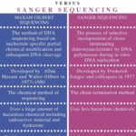 Diferencia entre la secuenciación de Maxam Gilbert y la de Sanger