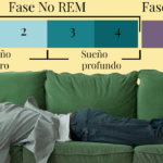 Diferencia entre la siesta y el sueño