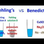 Diferencia entre la solución de Benedict y la de Fehling