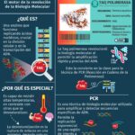 Diferencia entre la Taq polimerasa y la ADN polimerasa