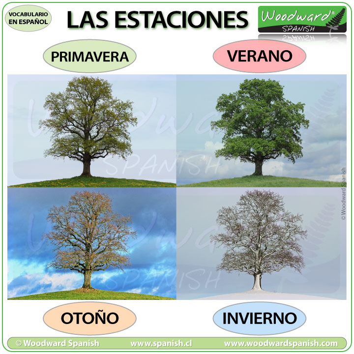 Diferencia entre la temporada de primavera y otoño