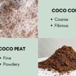 Diferencia entre la turba de coco y la cáscara de coco