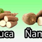 Diferencia entre la yuca y el ñame