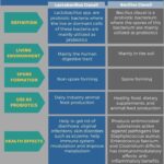 Diferencia entre Lactobacillus y Bacillus Clausii