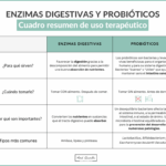 Diferencia entre las enzimas pancreáticas y las enzimas digestivas