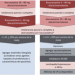 Diferencia entre las estatinas hidrofílicas y lipofílicas
