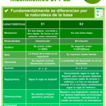 Diferencia entre las reacciones E1 y E2
