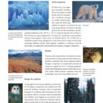 Diferencia entre las regiones polares y la tundra
