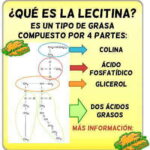 Diferencia entre lecitina y fosfatidilcolina