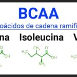 Diferencia entre leucina e isoleucina