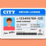 Diferencia entre licencia casual y licencia anual
