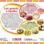 Diferencia entre lípidos y colesterol