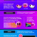 Diferencia entre mutación y variación
