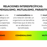 Diferencia entre mutualismo y comensalismo