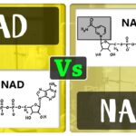 Diferencia entre NAD y NADP