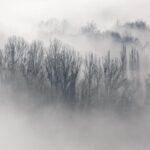 Diferencia entre niebla y neblina